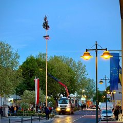 ein Maibaum wird grade aufgestellt