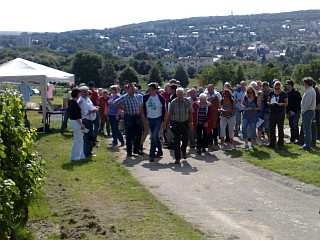 Weinbergshäusschenwanderung
