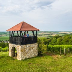 Weinbergsturm bei Bechtolsheim