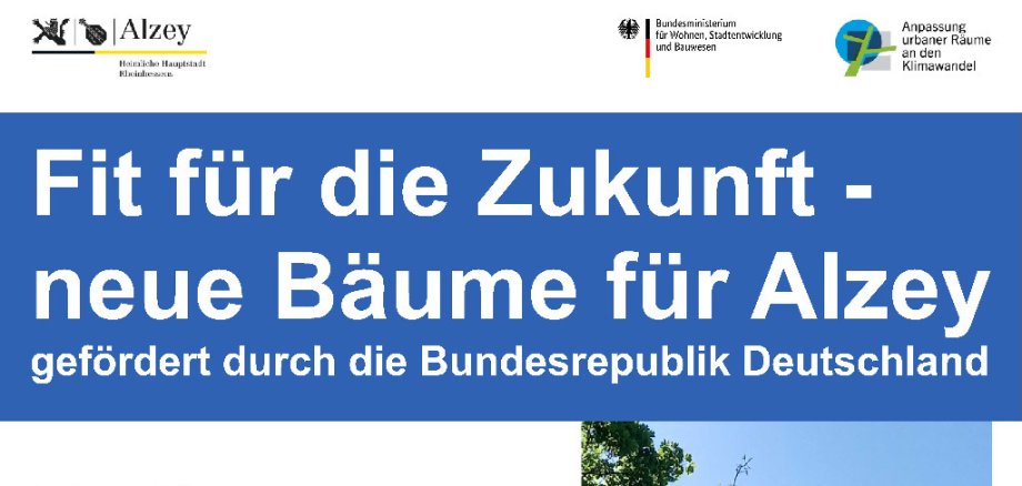 Einladung zur Informationsveranstaltung "Fit für die Zukunft - neue Bäume für Alzey"