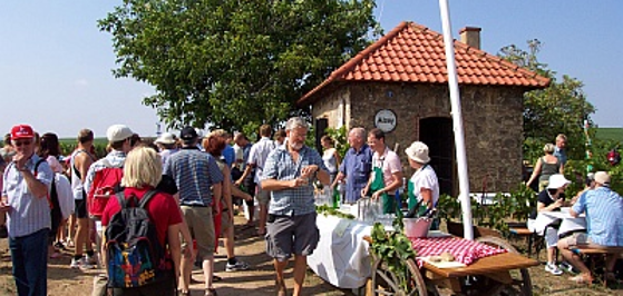 viele personen vor einem Weinbergshäusschen