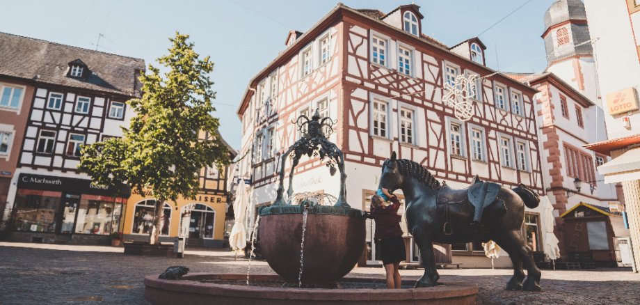 Der Brunnen am Rossmarktplatz