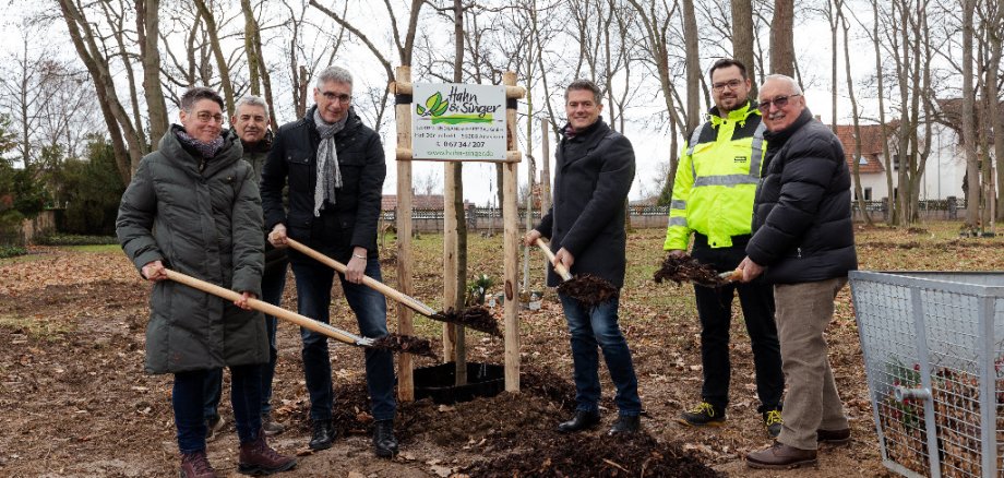 Neue Bäume werden geplanzt