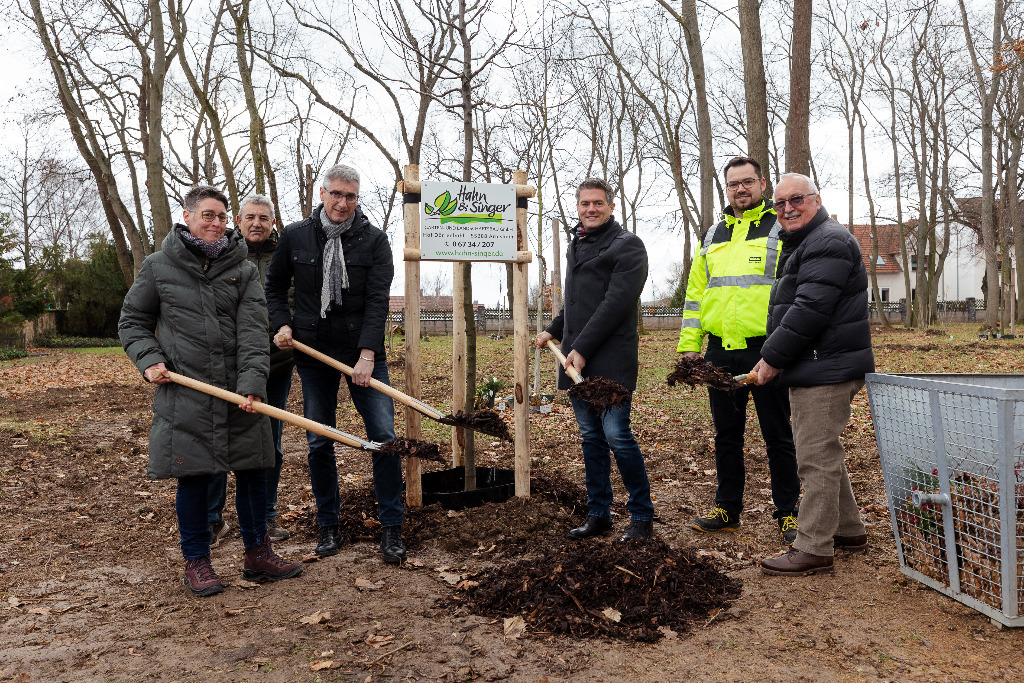 Neue Bäume werden geplanzt