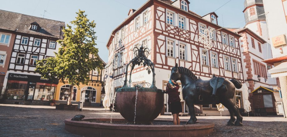 Der Rossmarkt mit Brunnen