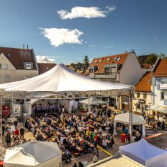 Das Alzeyer Winzerfest