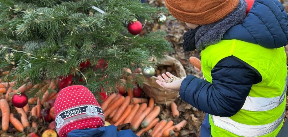 Kinder die unter einer geschmückten Tanne im Wald Karotten und Äpfel finden