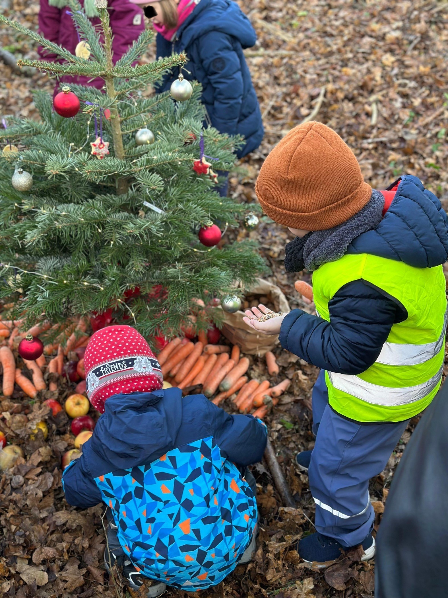 Kinder die unter einer geschmückten Tanne im Wald Karotten und Äpfel finden