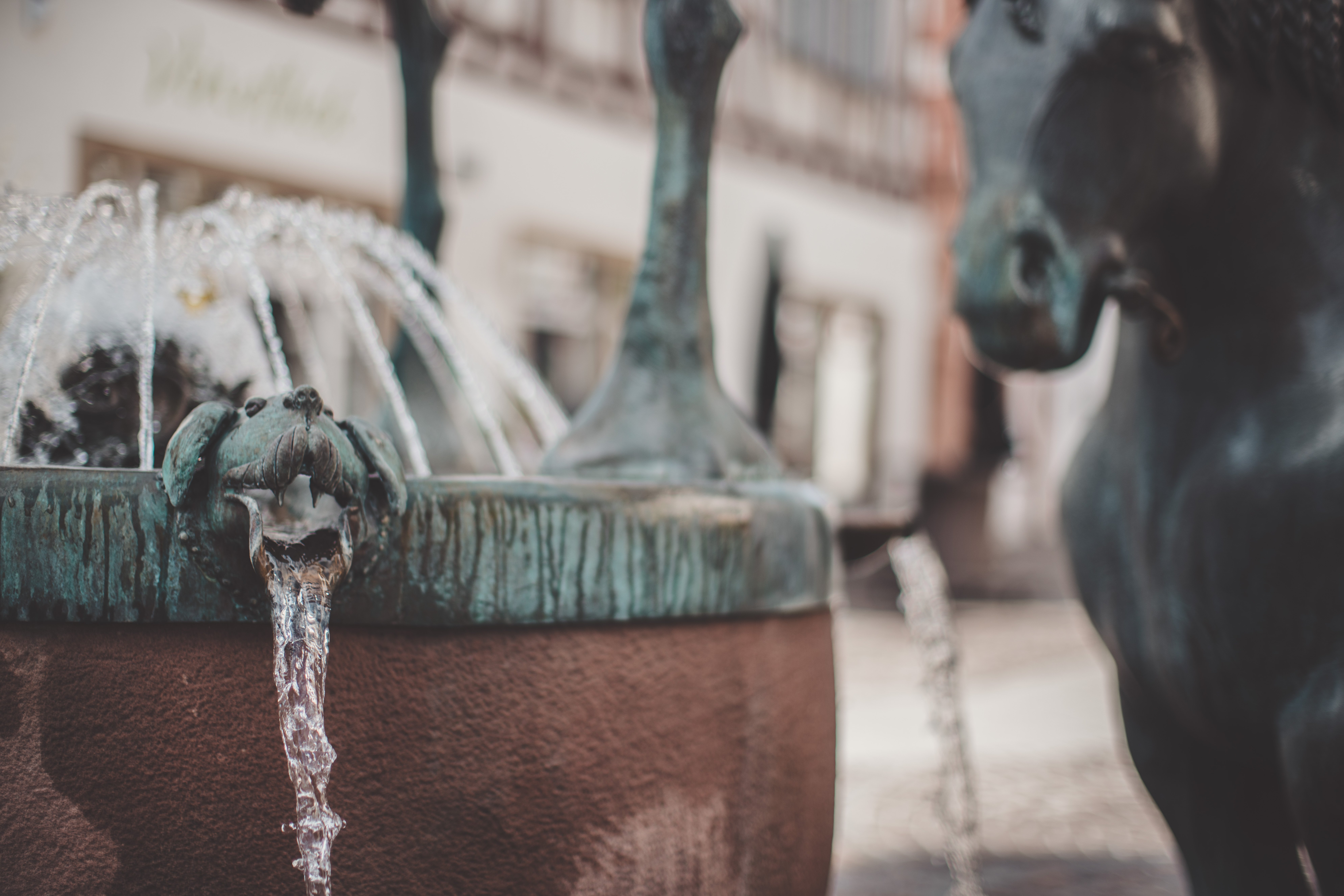 Der Rossmarktbrunnen