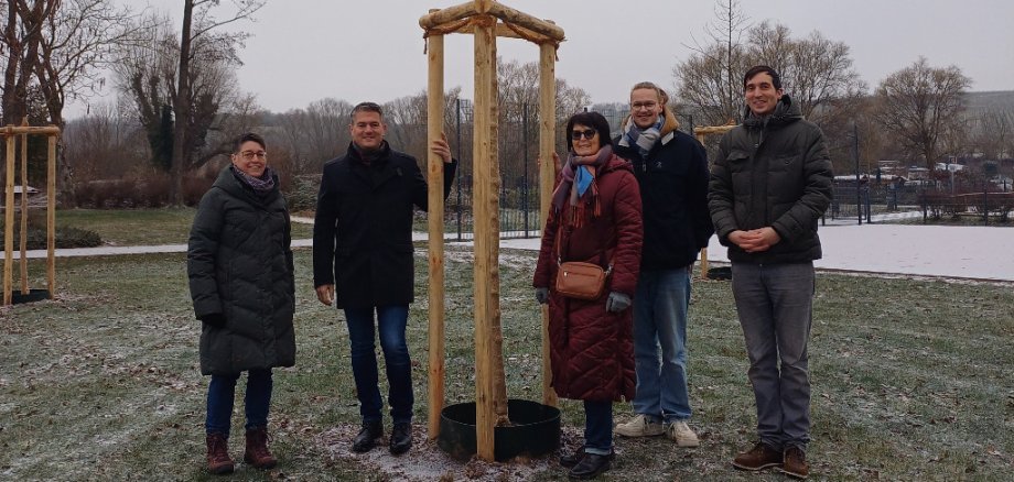 Michaela Drossard vom Fachbereich Bauen und Umwelt, Bürgermeister Steffen Jung, Doris Stölzle, Christopher Stölzle und Azubi Aaron Klippel-Korn vor einem der neu gepflanzten Bäume am Herdry. 