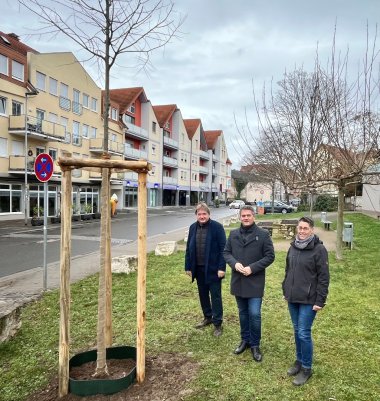 An der Zehntscheune steht der Zürgelbaum, der auch die für die enge Verbindung zwischen Stadt und Kreis steht, wie Landrat Heiko Sippel erklärt.