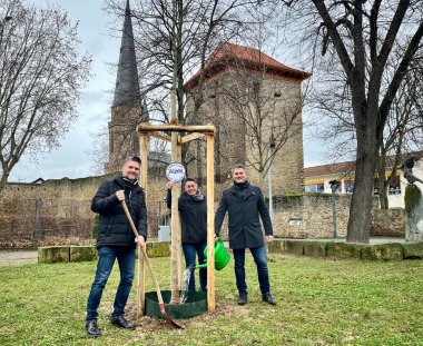 Auch der Altstadtverein hat anlässlich des 1800. Geburtstags Alzey der Stadt einen Baum gespendet. Die Linde ist dabei nicht zufällig gewählt, wie Vorsitzender Marc Amstad erklärt.