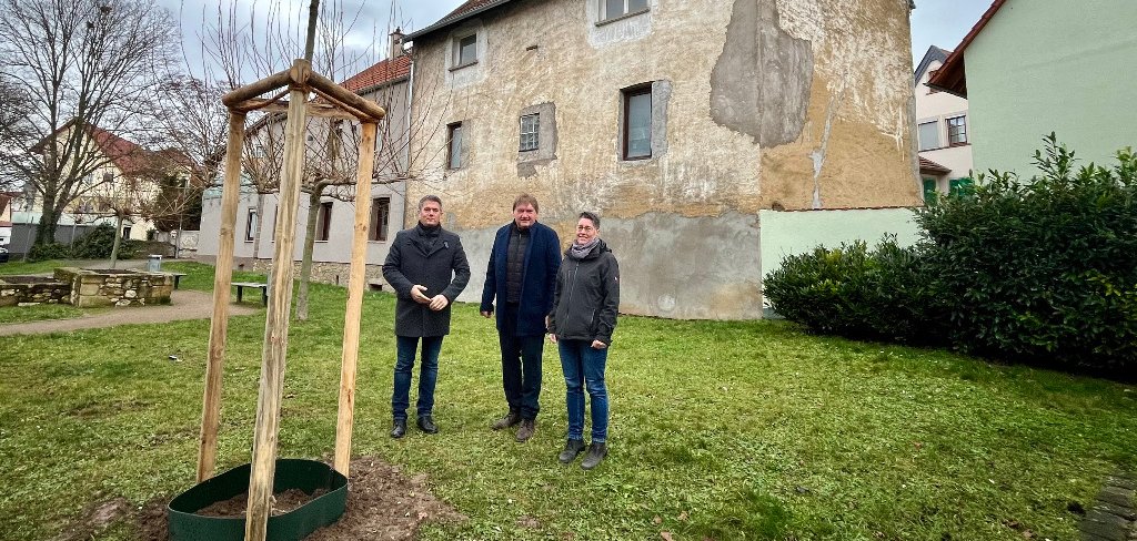 Anlässlich des 1800. Geburtstags der Stadt Alzey hat die Kreisverwaltung einen Baum gespendet.