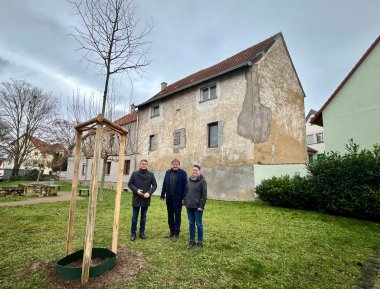 Anlässlich des 1800. Geburtstags der Stadt Alzey hat die Kreisverwaltung einen Baum gespendet.