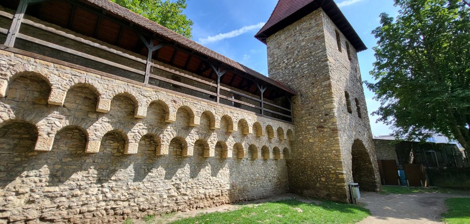 Die Stadtmauer von Alzey