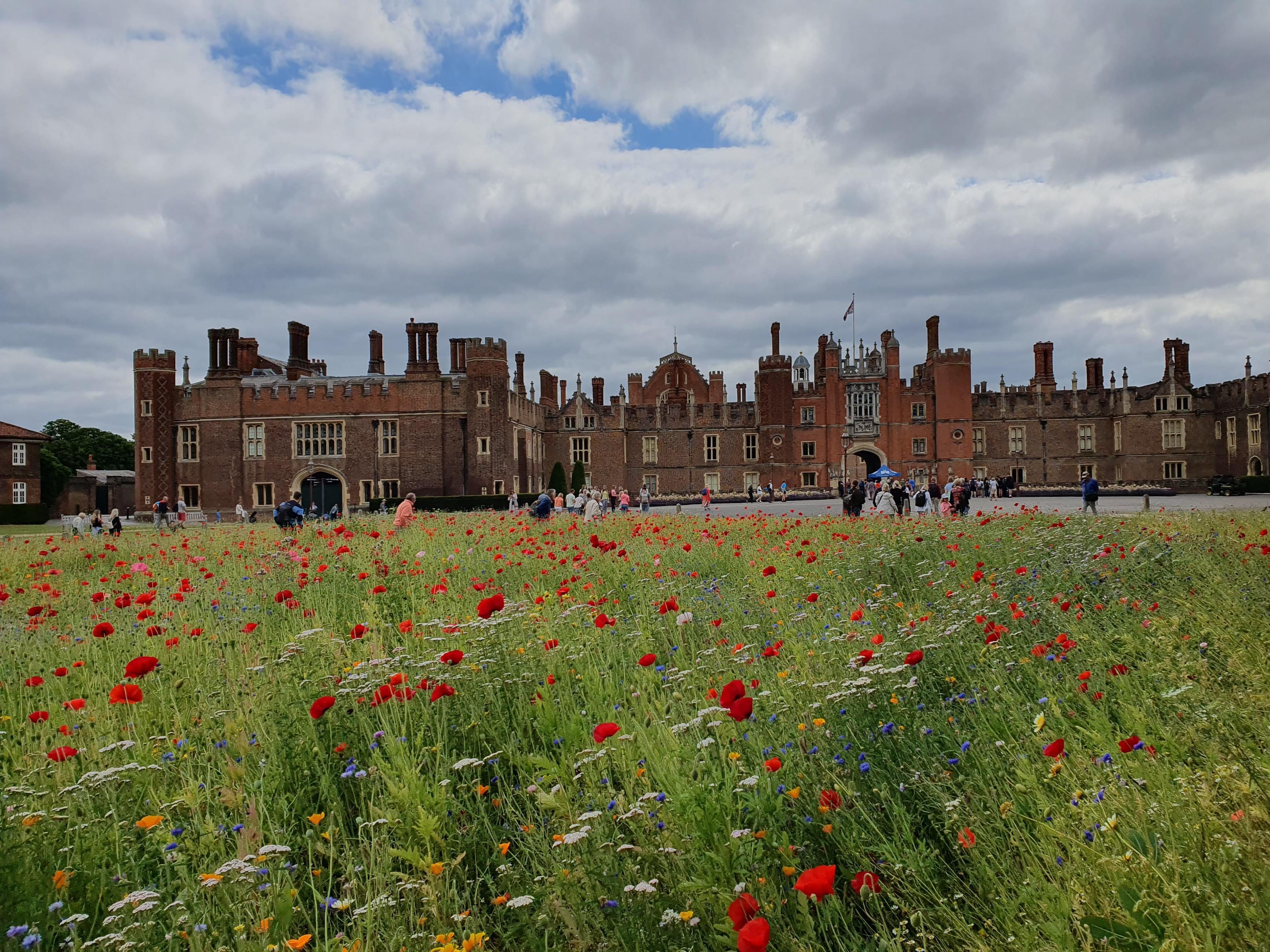 Ein Palast, der umgeben von grünen Wiesen ist.