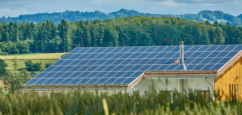 Eine große Halle, auf deren Dach großflächig Photovoltaikplatten zu sehen sind.
