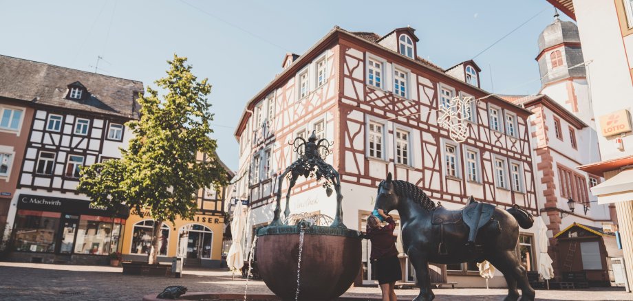 Das Pferd Max auf dem Roßmarkt vor den historischen Fachwerkhäusern der Innenstadt