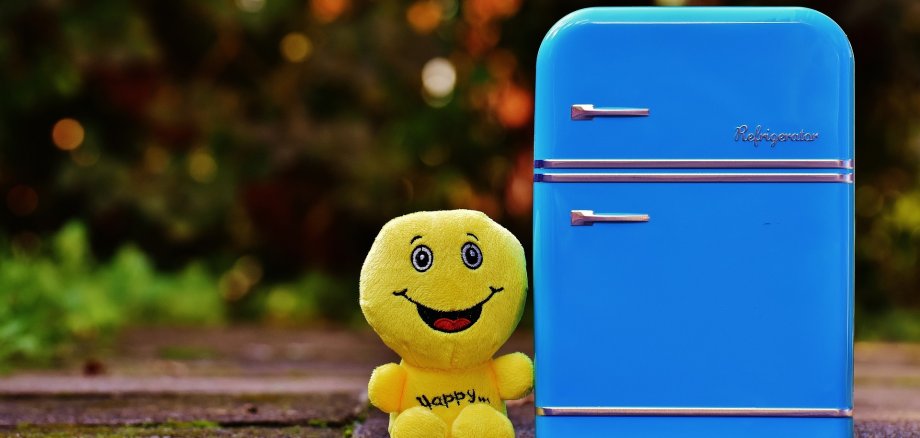 Ein kleines Stoffmännchen sitzt lächelnd neben einem blauen Miniaturkühlschrank im Freien.