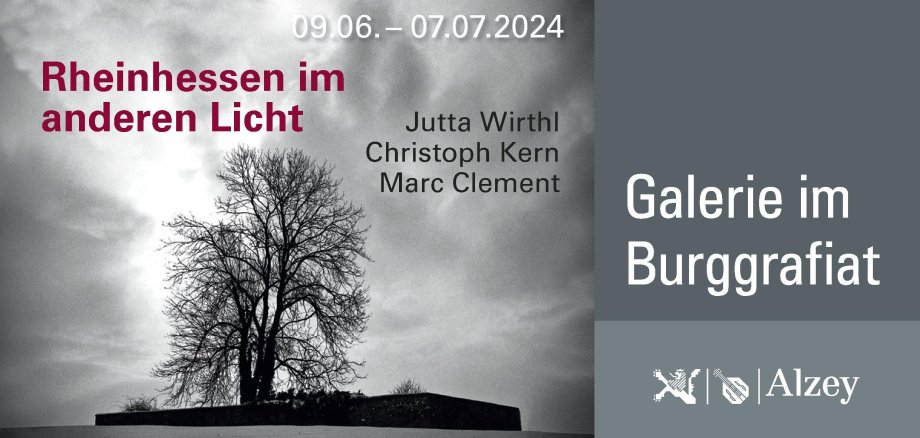 Rheinhessen im anderen Licht – Eine fotografische Entdeckungsreise 