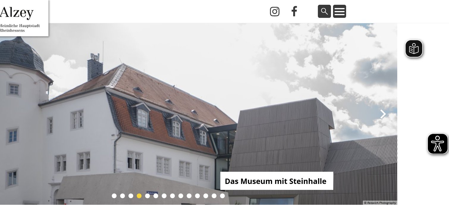 Die Startseite der Homepage der Stadtverwaltung Alzey