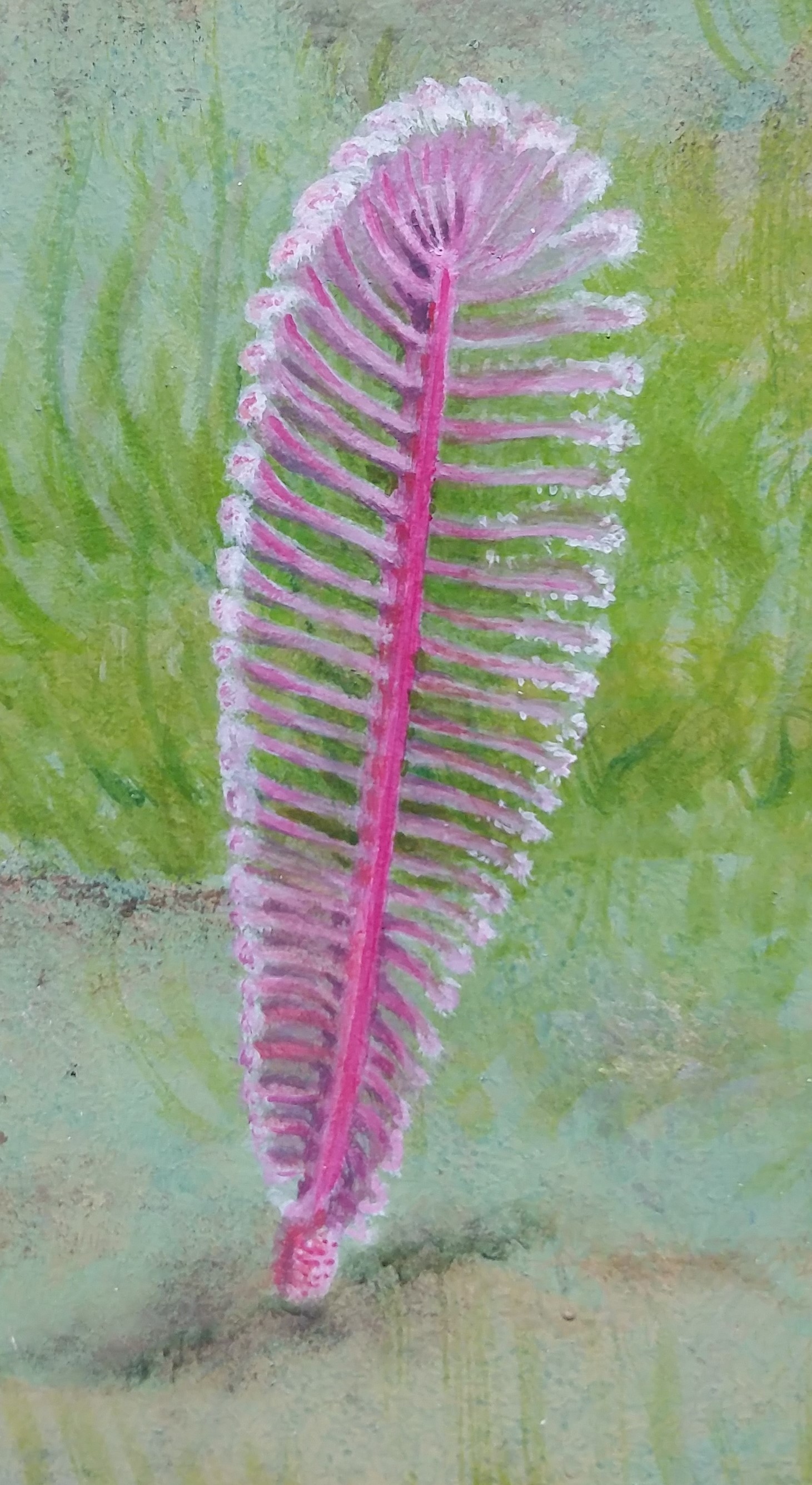 Eine Feder auf grünem Hintergrund