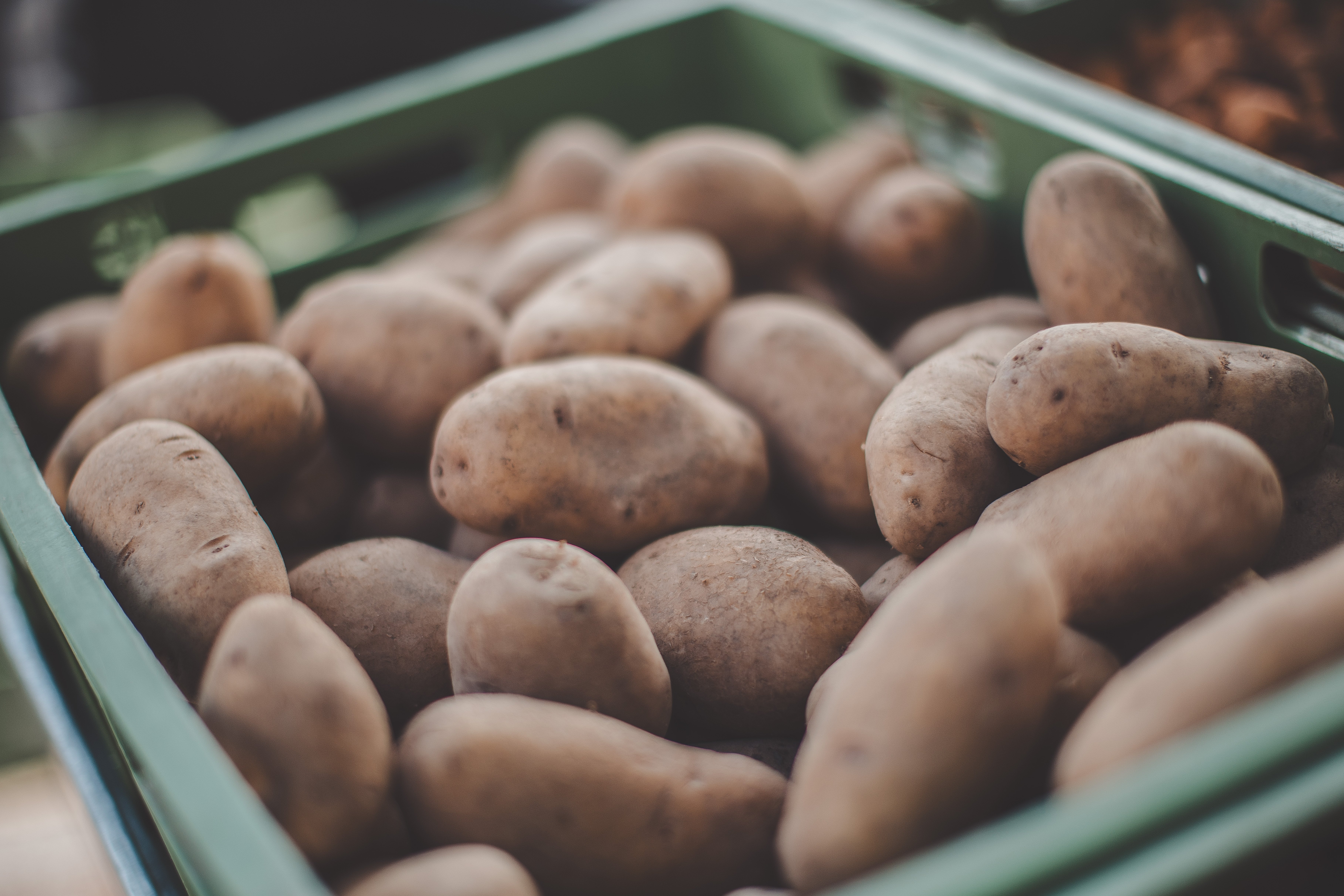 Eine Nahaufnahme von vielen Kartoffeln in einer Kiste.