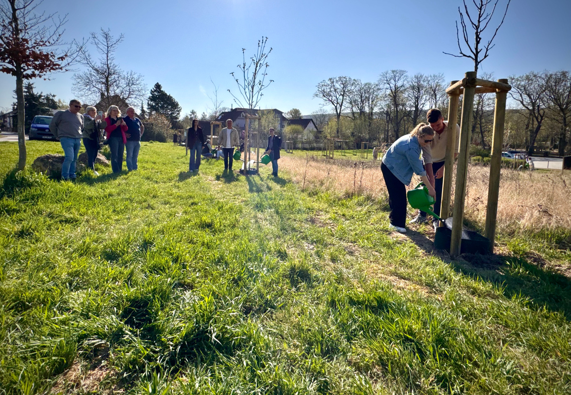 Personen gießen Bäume auf grünem Rasen