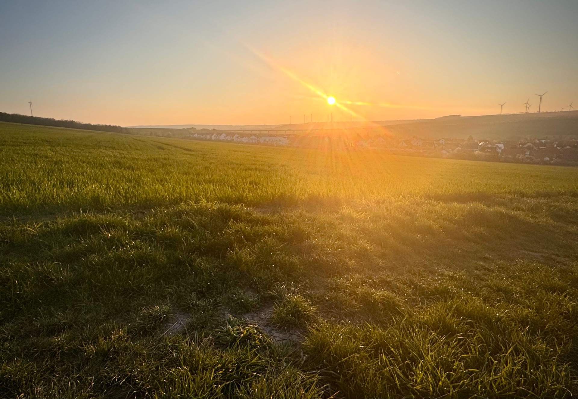 grünes Feld mit wärmender Sonne