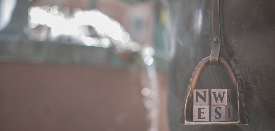 Stillistisches Foto vom Rossmarkt, dem Brunnen und der Rossskulptur auf dessen Steigbügel Bauklötzchen mit "N, E, W, S," seht.