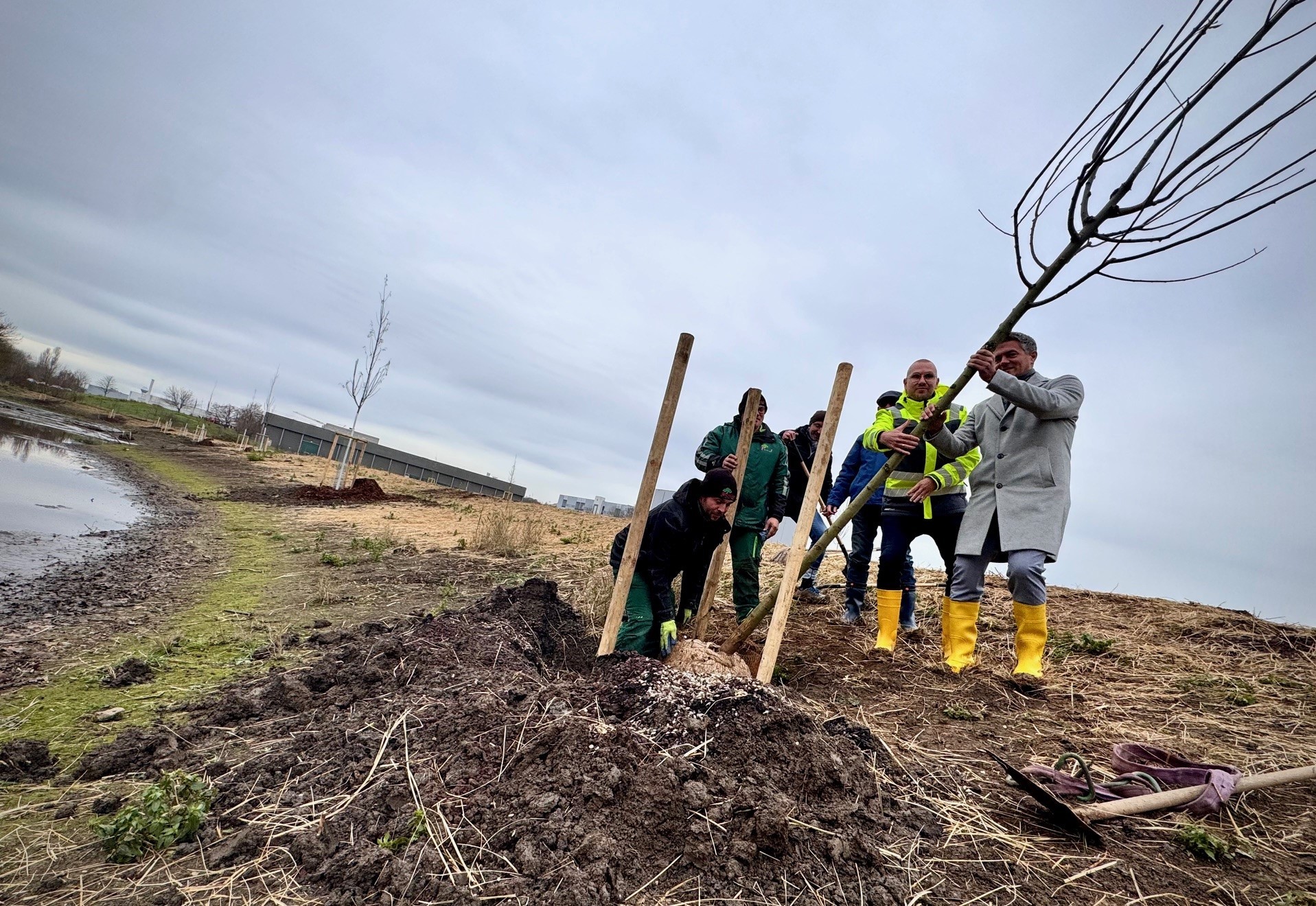 Begrünung der Selzrenaturierung startet 14 Hektar Grünland entstehen Mitten im IG Ost. Pflanzung von Bäumen durch Bürgermeister Steffen Jung und dem Bauteam der Stadt.