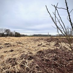 Begrünung der Selzrenaturierung startet 14 Hektar Grünland entstehen Mitten im IG Ost. (Man sieht einen Teil der Flache die Begrünt werden soll)