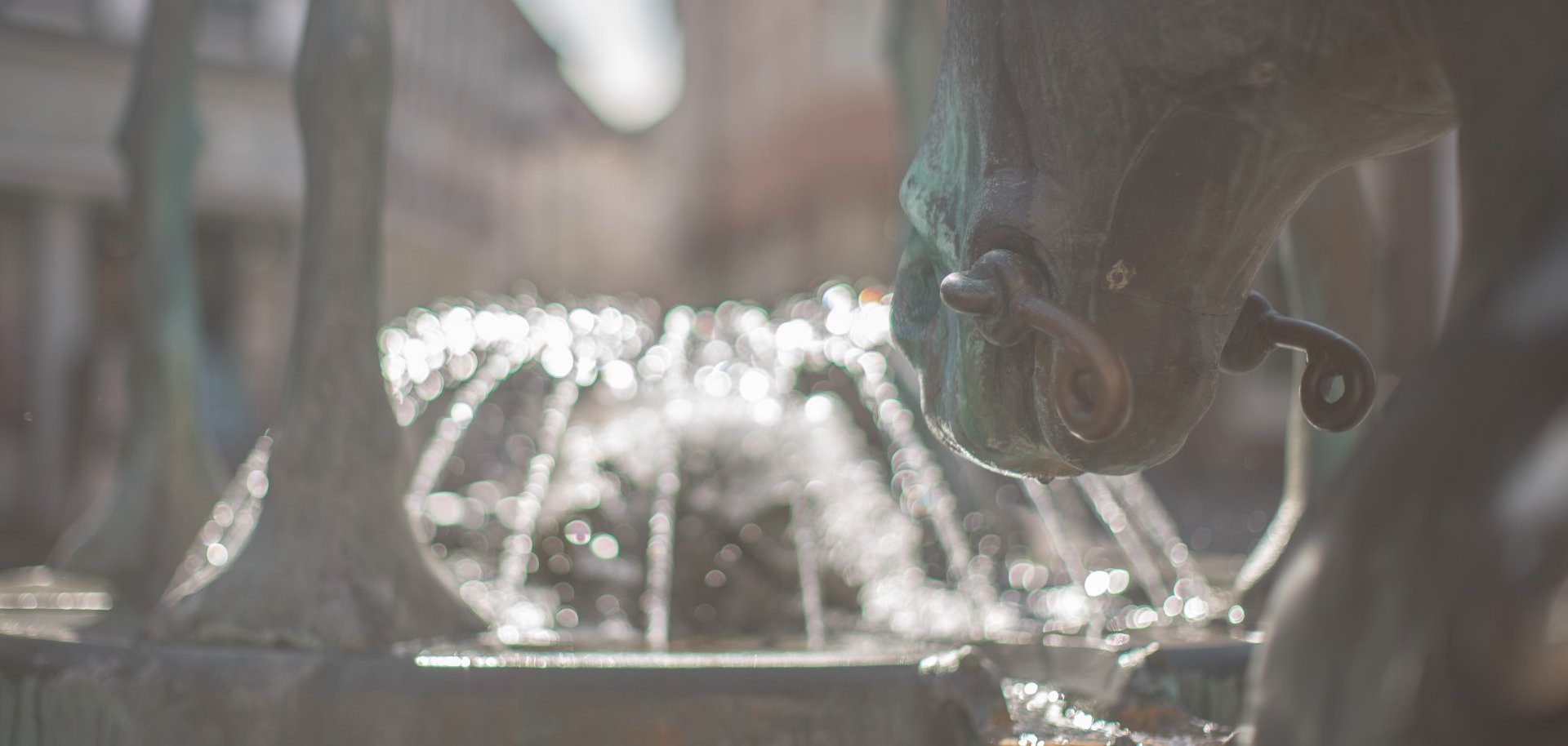 Eine Stilistische Aufnahme vom Rossmarkt, dem Brunnen und der Pferdeskulptur.