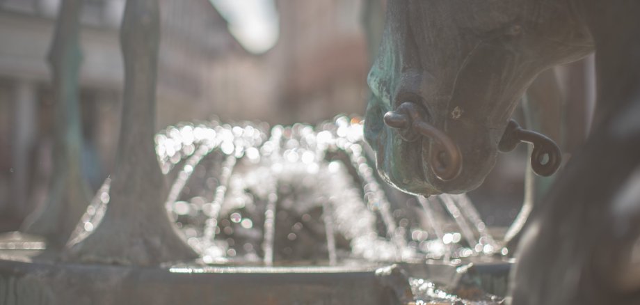 Eine Stilistische Aufnahme vom Rossmarkt, dem Brunnen und der Pferdeskulptur.