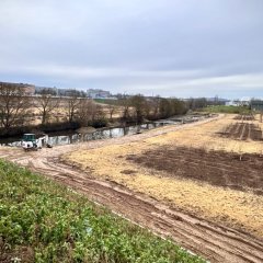 Luftbild von der Pflanzung im IG-Ost