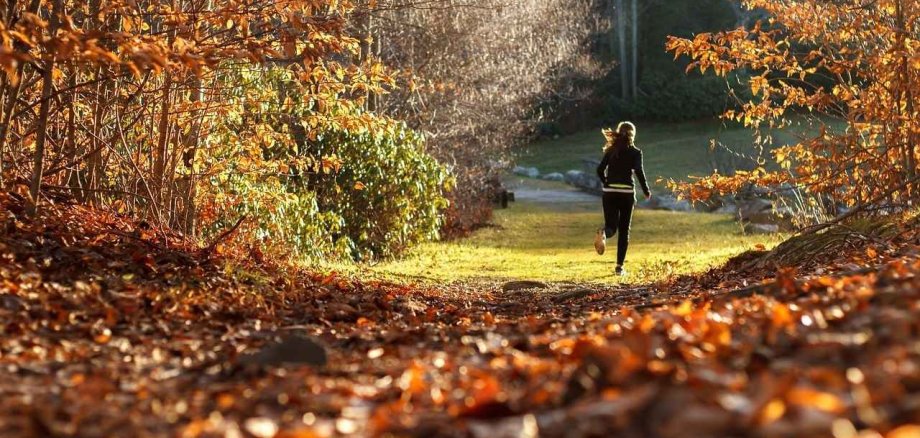 eine Frau joggt bei herbstlichem Wetter im Wald voller brauner Blätter