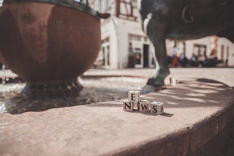 NEWS Steine am Brunnen, mit dem Pferd Max.