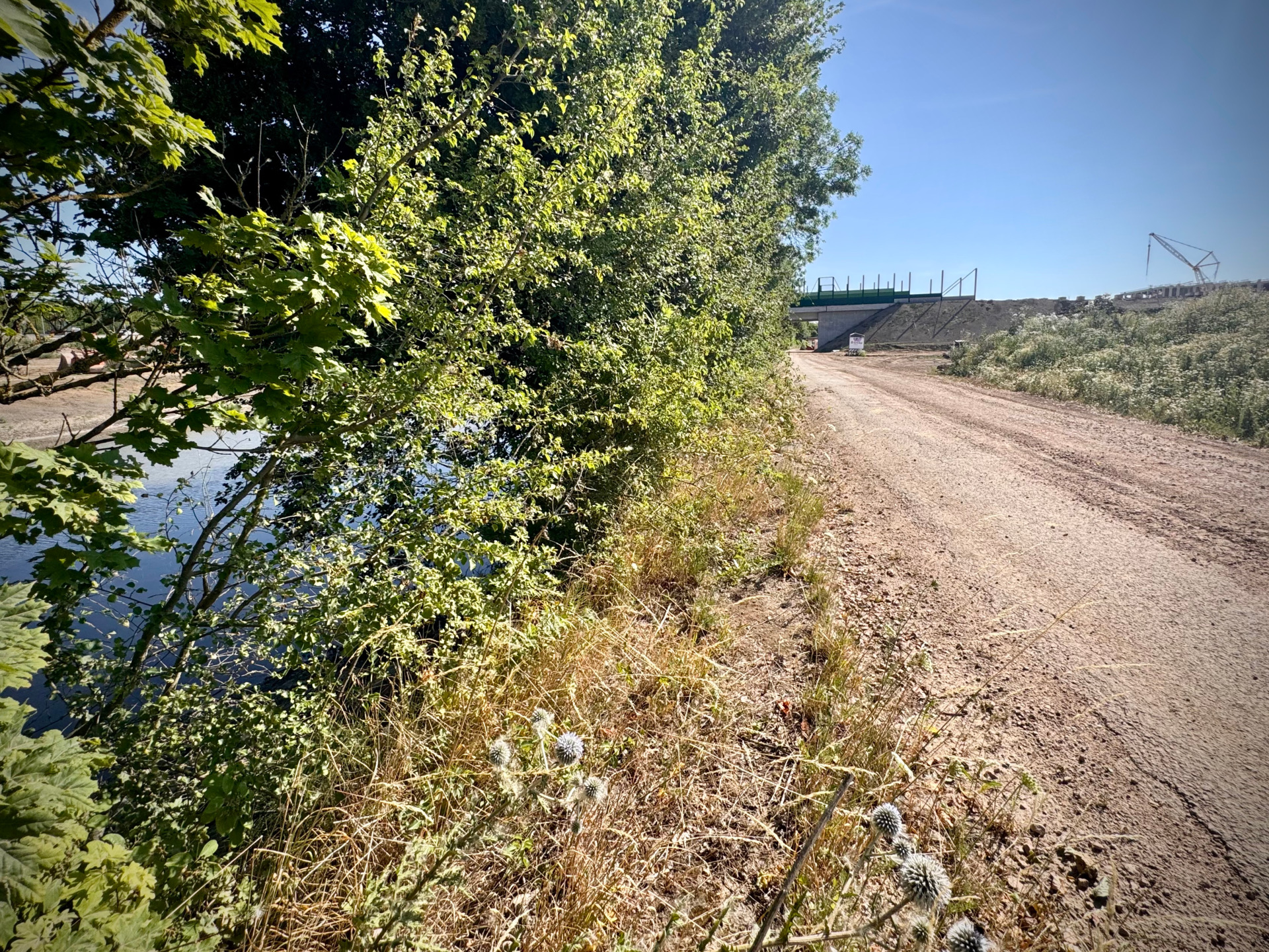Feldweg mit einer Busch und einem Feld