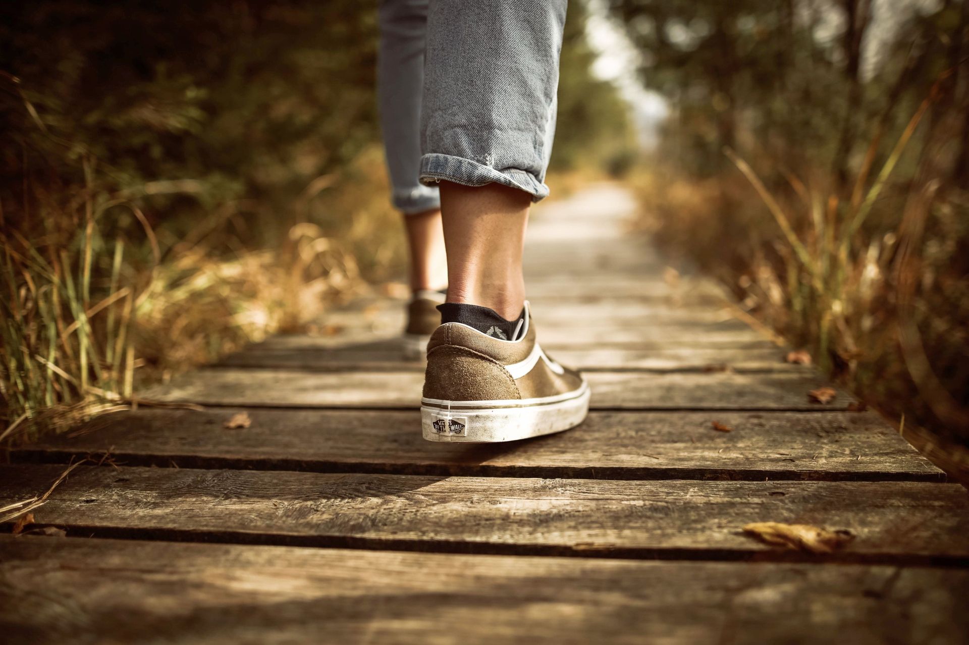 Exkursion eine Person in Schuhen der Marke Vans läuft auf einem Holzweg am Rande grün-gelbe Fläche