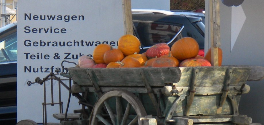 Eine Holzkarre mit Kürbissen als Dekoration für die Alzeyer Verbauchertage vor dem Autohaus Ford Bayer in Alzey