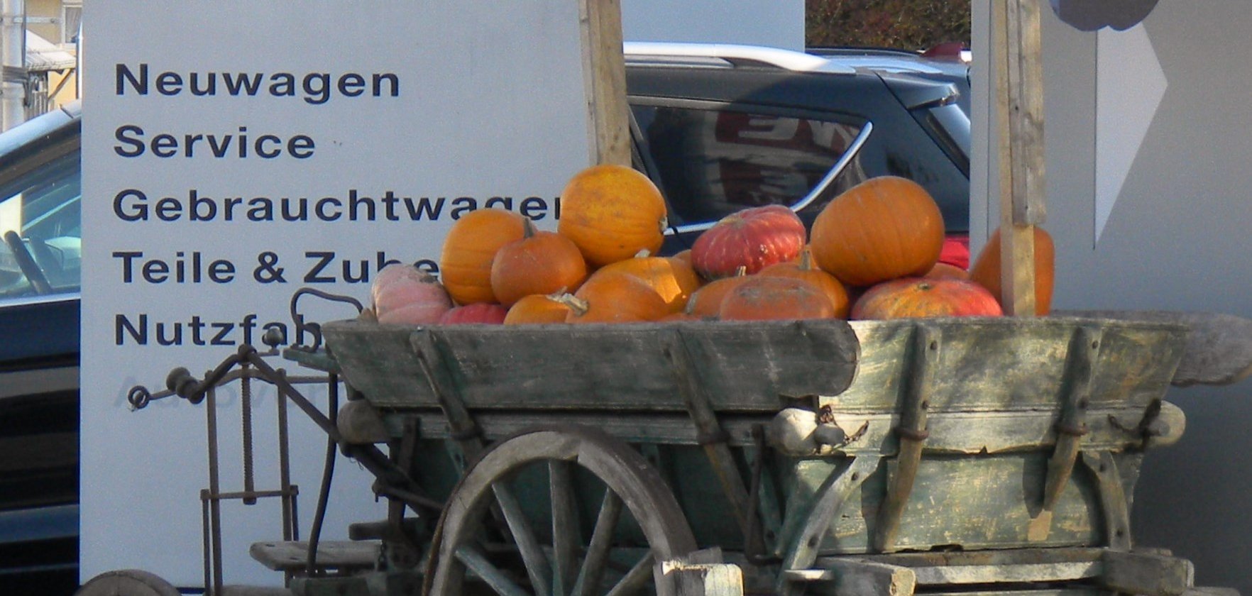 Eine Holzkarre mit Kürbissen als Dekoration für die Alzeyer Verbauchertage vor dem Autohaus Ford Bayer in Alzey
