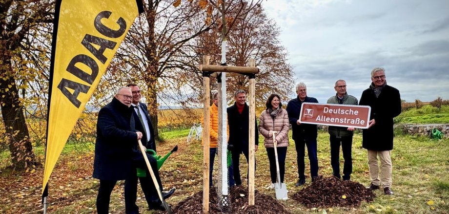 Mehrere Personen stehen um einen neu gesetzten Baum. Links daneben steht eine gelbe ADAC Flagge. Eine Person trägt ein Schild mit der Aufschrift deutsche Alleenstraße.