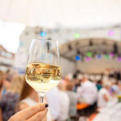 Auf dem Foto ist ein Weinglas, befüllt mit Wein zu sehen, welches in die Kamera gehalten wird. Im Hintergrund sieht man verschwommen die Besucher der Weinprobe vor der Bühne sitzen.