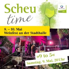 Flyer Scheutime