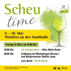 Flyer Scheutime