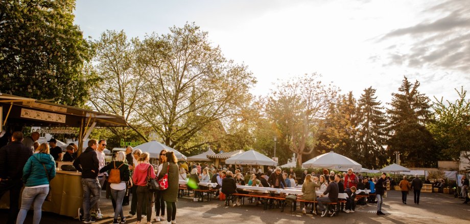 Menschen feiern und trinken Wein auf dem Scheutime Festival