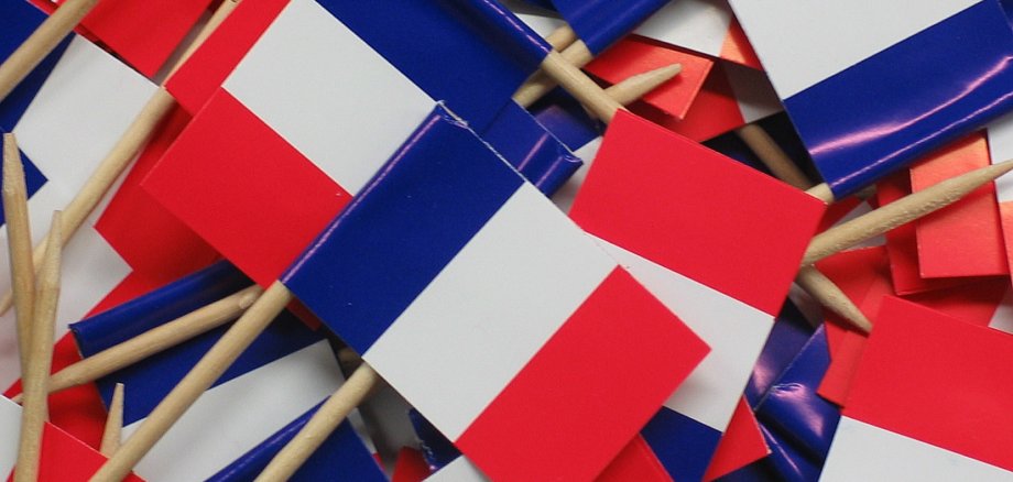 viele kleine französische Flaggen aus Zahnstochern und Papier.