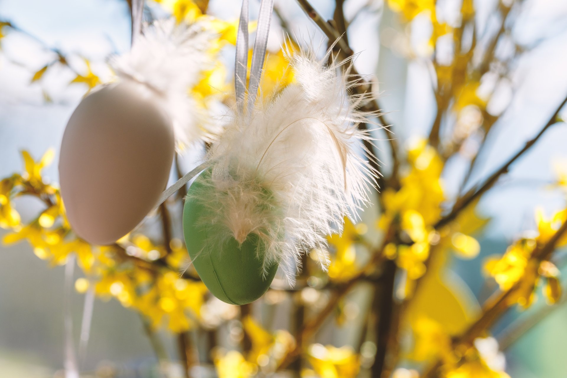 Man sieht Ostereier an einem Stauch.