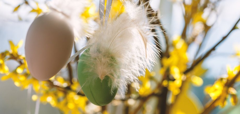 Man sieht Ostereier an einem Stauch.