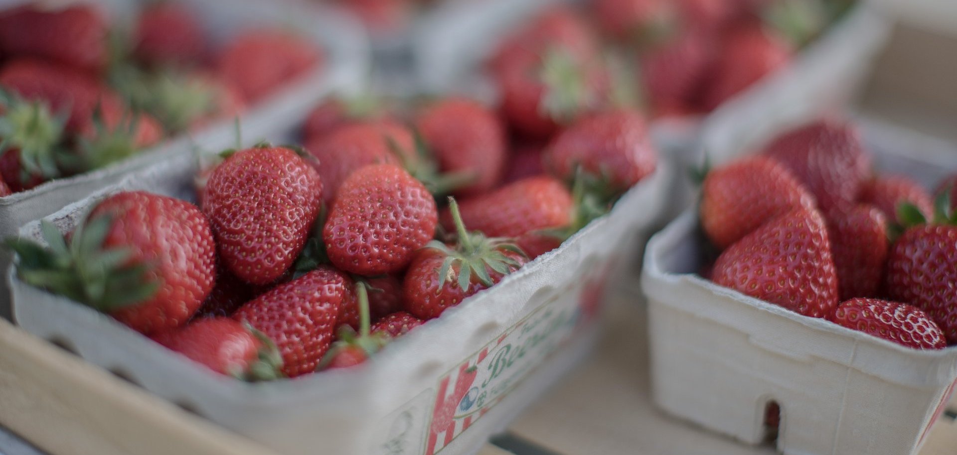 frische Erbeeren in kleinen Kartonschalen